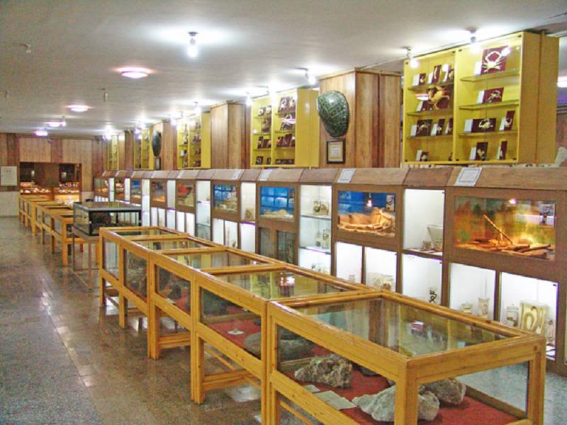 موزه تاریخ طبیعی همدان - 