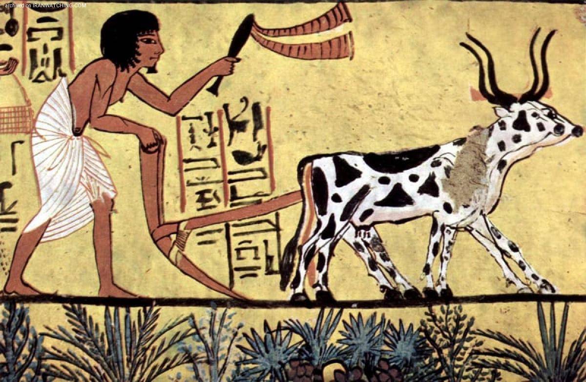 8 حرفه قدیمی جهان را می شناسید؟   - کشاورزی در مصر باستان 