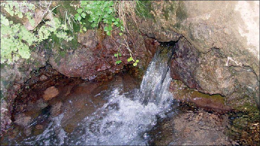 چشمه آب معدنی حضرت موسی - 