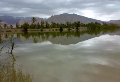 منطقه حفاظت شده کوه کشار