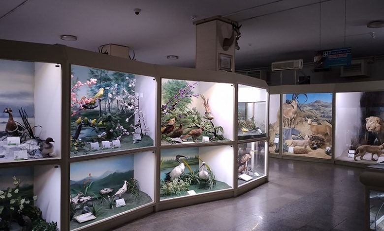 Hamedan Natural History Museum - photo: nabro.ir