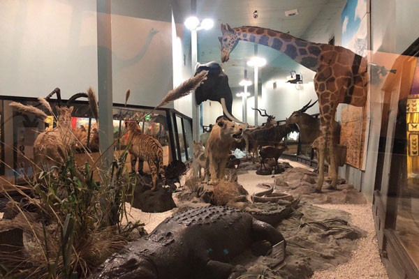 موزه تنوع زیستی پارک پردیسان - 