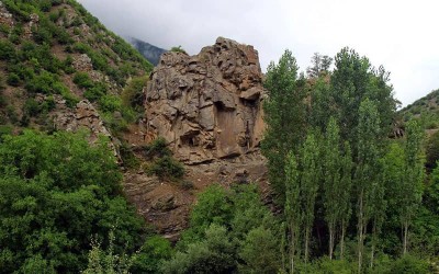 جنگل رودبارک مهدی شهر