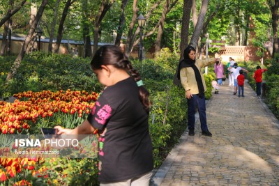 جشنواره لاله‌ها در باغ ایرانی تهران