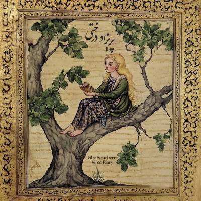 پریزاد درختی؛ پری زیبای درخت‌نشین در باور مردم بندرعباس