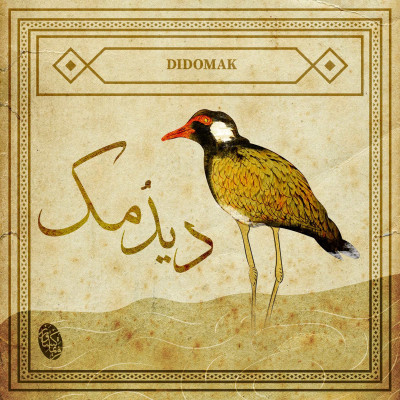 دیدومک؛ پرنده شوم و مبارک شب‌های کوخرد