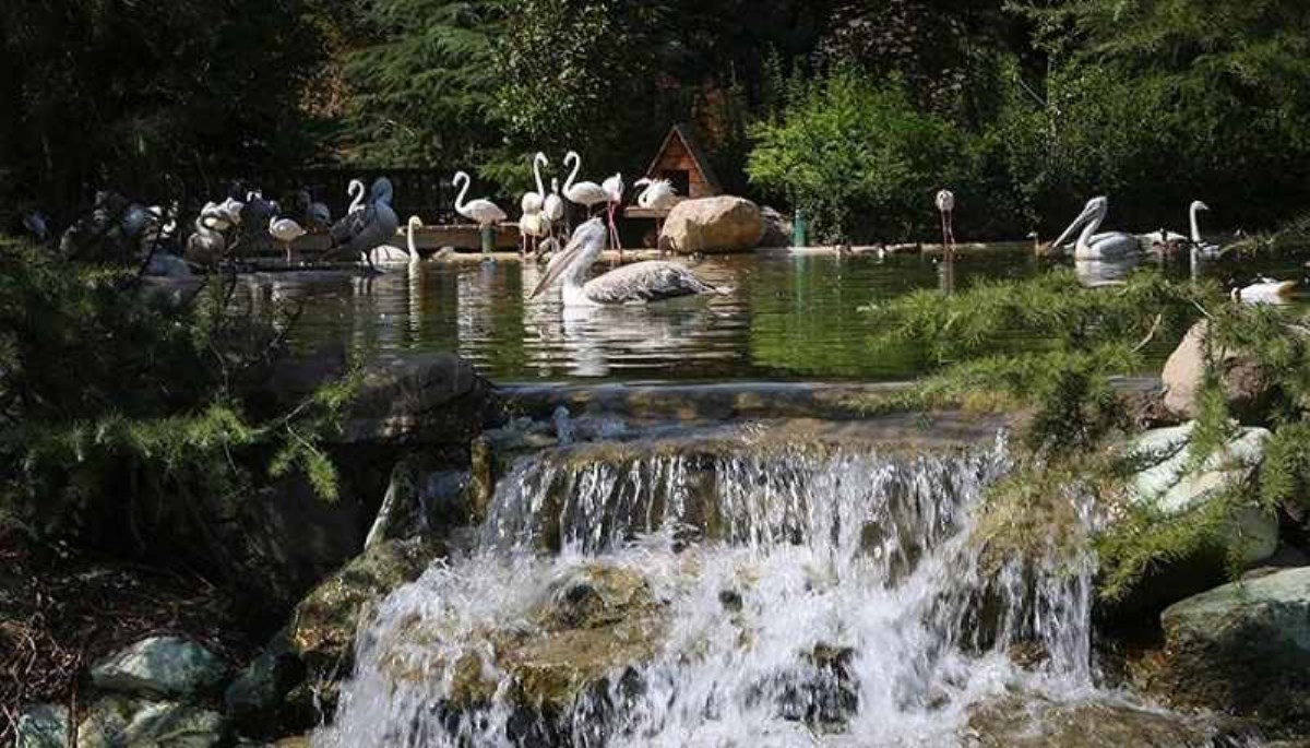 باغ پرندگان تهران - 