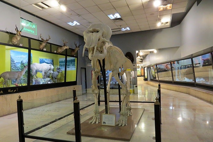 موزه تنوع زیستی پارک پردیسان - 