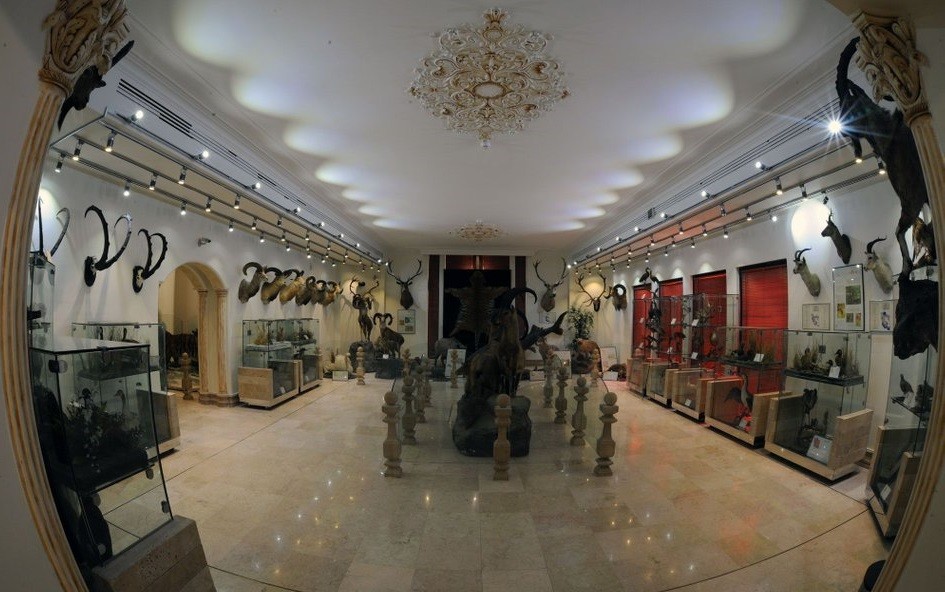 موزه طبیعت و حیات وحش دارآباد - 
