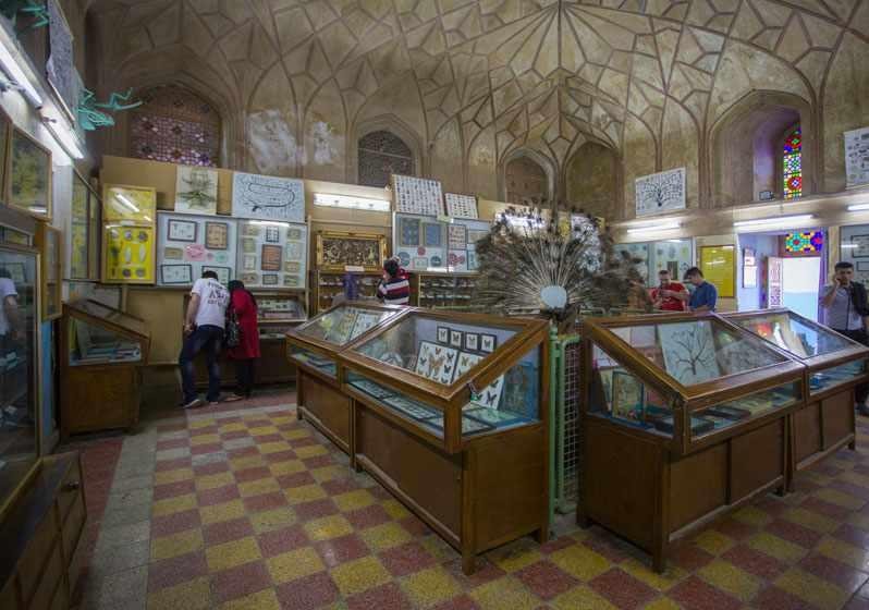 موزه تاریخ طبیعی اصفهان - 