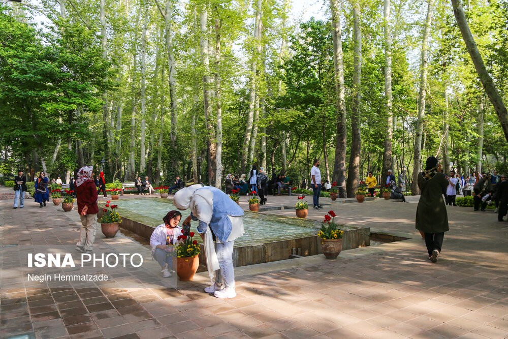 جشنواره لاله‌ها در باغ ایرانی تهران - 
